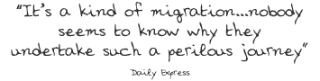It’s a kind of migration...nobody seems to know why they undertake such a perilous journey